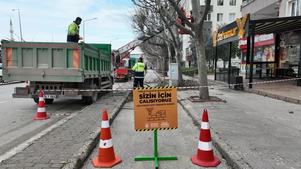 Mustafa Bozbey - Bursa'nın Yeşili Emin Ellerde