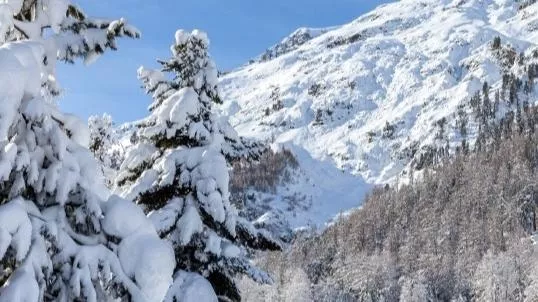 Mustafa Bozbey - Uludağ Kimin? - Bursa’da yaşayan bütün vatandaşlarımızın 4 mevsim Uludağ’ı yaşamaları için belediyenin gerekli adımları atmasının öneminin hepimiz farkındayız. Tabii ki bununla ilgili de projelerimiz hazır. Uludağ’a ulaşım ucuzlatılacak, (Teleferik, otobüs, minibüs vs.), 11 km’ye kadar yürüyüş parkurları düzenlenecek ve ücretsiz klavuzlar eşliğinde Uludağ’ımız gezilecek. Sarıalan ile 1. ve 2. oteller bölgesinde vatandaşların dinlenebilecekleri ve konaklayabilecekleri tesisler oluşturulacak. Belediyeye ait tesislerde kafeterya hizmetlerinin şehir merkezinde bulunan tesislerle fiyatlandırma konusunda orantılı olması sağlanacaktır.