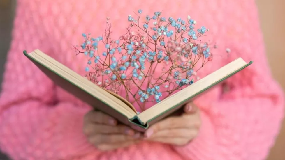 Mustafa Bozbey - Kadının Sesi - Kentimizin tüm köylerinde hayata geçireceğimiz Kadının Sesi Projesi ile belirlenecek kitaplar kadınlar tarafından okunduktan sonra kitabın yazarıyla bir araya getirilerek eser birlikte değerlendirilecek, söyleşilecek ve aynı zamanda yazarın yazım dünyasına bir yolculuk yapılması sağlanacak.